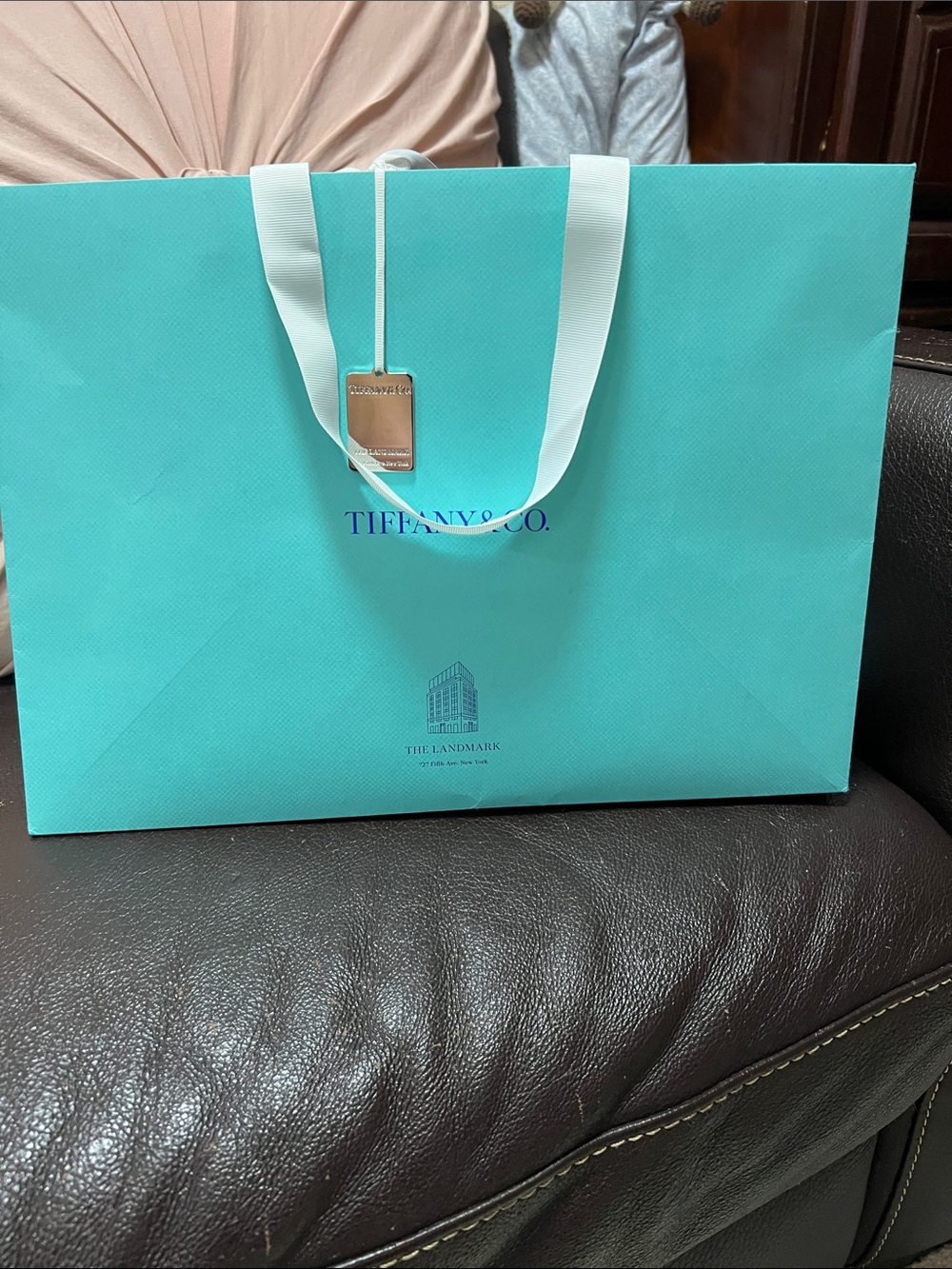 Tiffany & Co. Signature Robin's-Egg Blue Gift Bag with White Ribbon